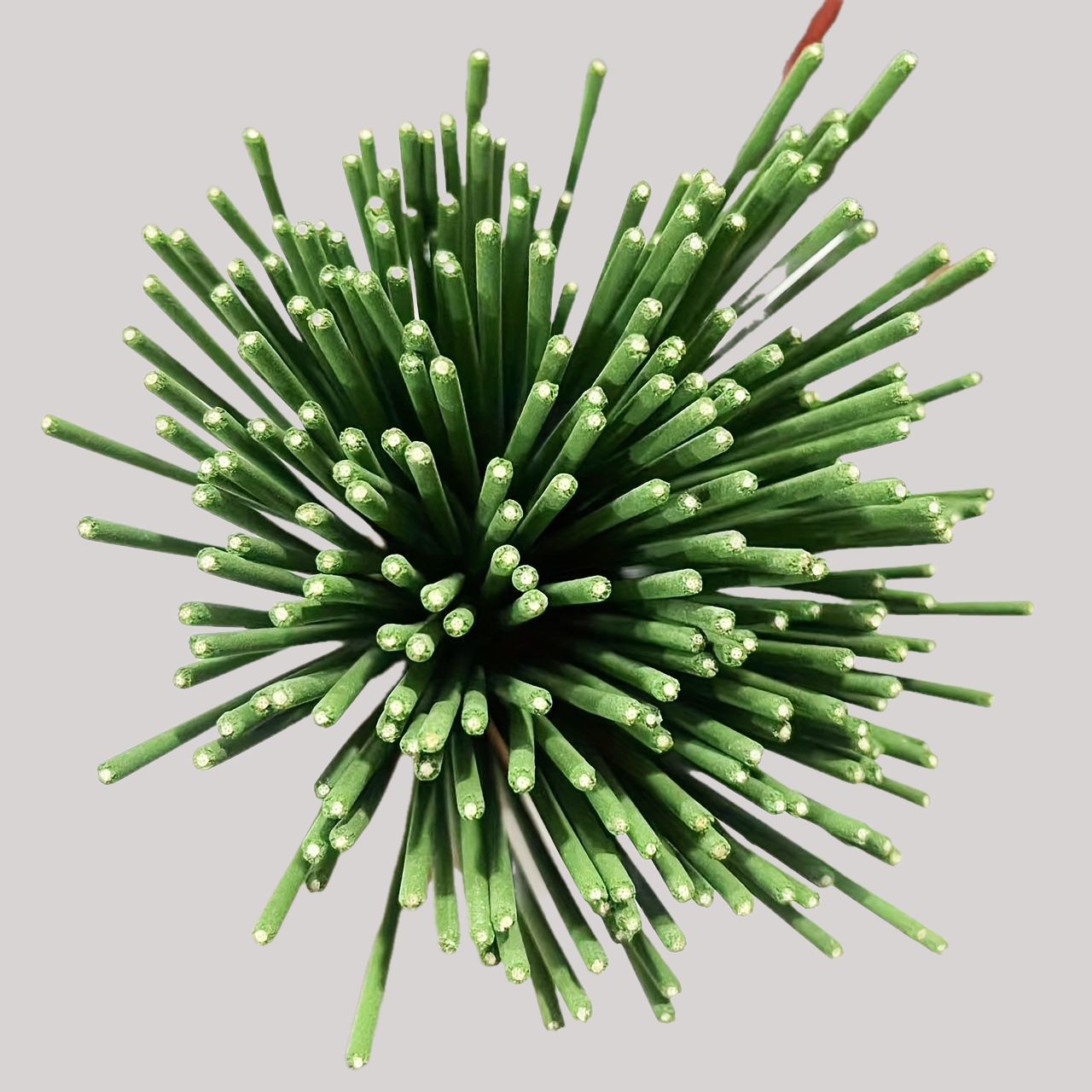 Reed Diffuser Sticks Lemongras - Home Fragrance Best recension och pris